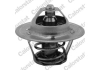Thermostat, coolant