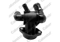 Thermostat, coolant