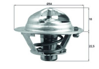 Thermostat, coolant