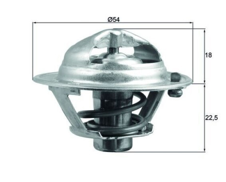Thermostat, coolant