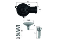 Thermostat, coolant