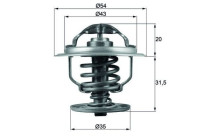 Thermostat, coolant