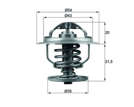 Thermostat, coolant