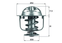 Thermostat, coolant