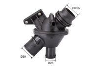 Thermostat, coolant