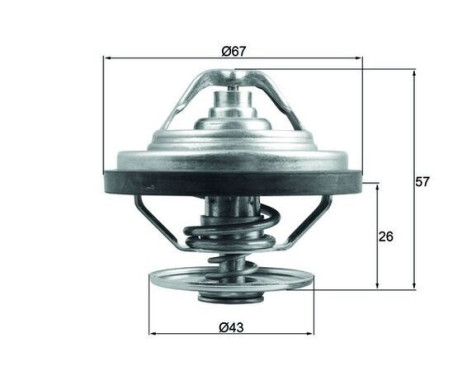 Thermostat, coolant