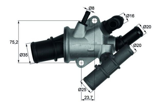 Thermostat, coolant