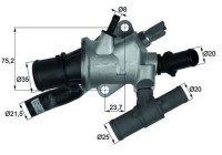 Thermostat, coolant