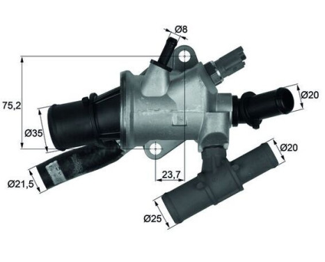 Thermostat, coolant