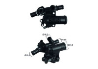 Thermostat, coolant