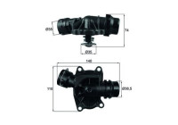 Thermostat, coolant
