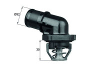 Thermostat, coolant