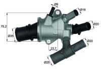 Thermostat, coolant