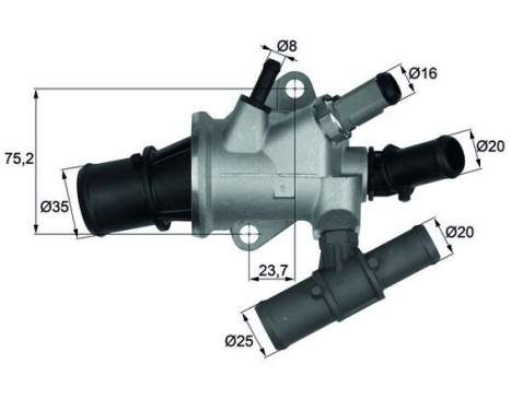 Thermostat, coolant