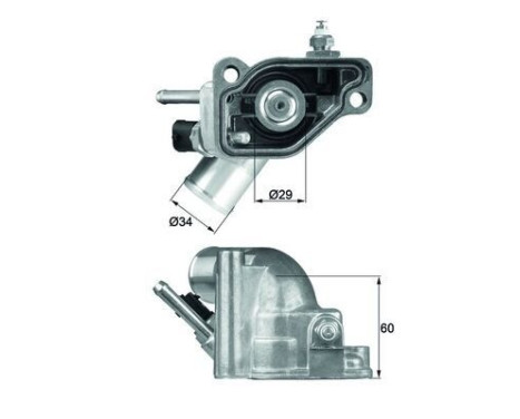 Thermostat, coolant