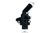 Thermostat, coolant