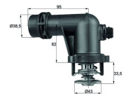 Thermostat, coolant