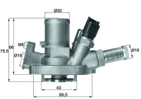 Thermostat, coolant