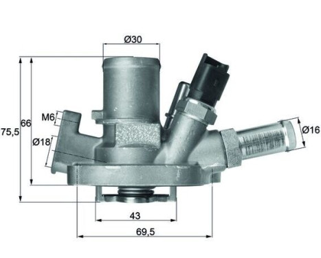 Thermostat, coolant