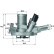 Thermostat, coolant
