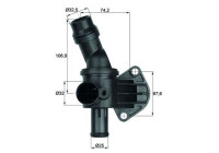 Thermostat, coolant