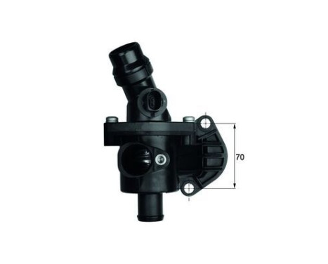 Thermostat, coolant