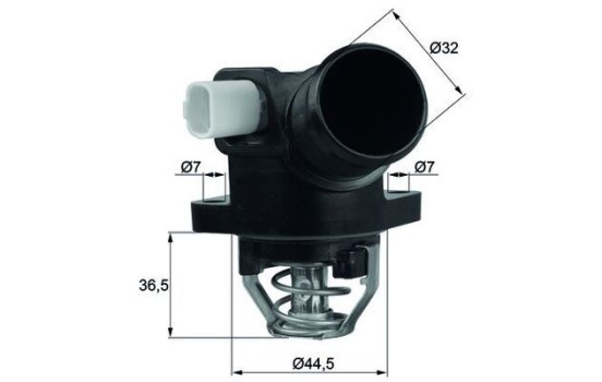 Thermostat, coolant