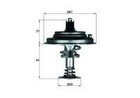Thermostat, coolant