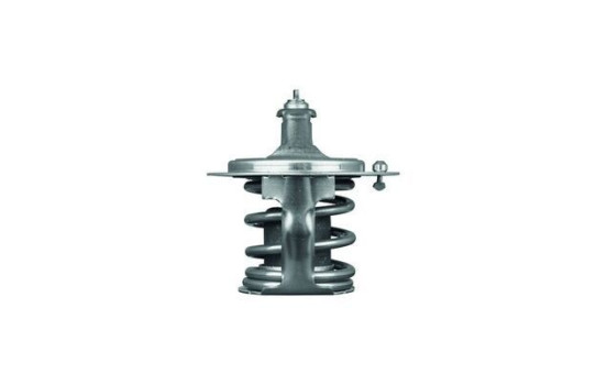 Thermostat, coolant, Image 2