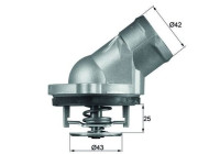 Thermostat, coolant
