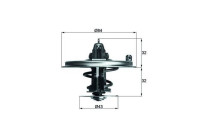 Thermostat, coolant
