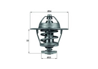 Thermostat, coolant