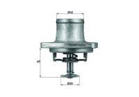 Thermostat, coolant