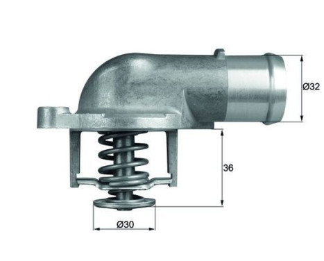 Thermostat, coolant