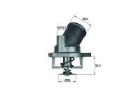 Thermostat, coolant