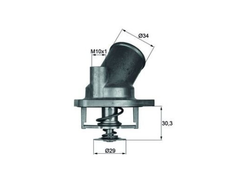 Thermostat, coolant
