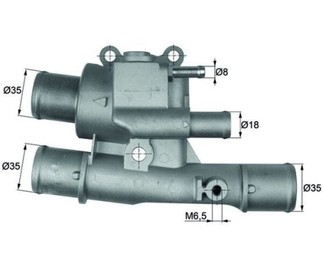 Thermostat, coolant