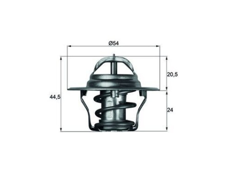 Thermostat, coolant