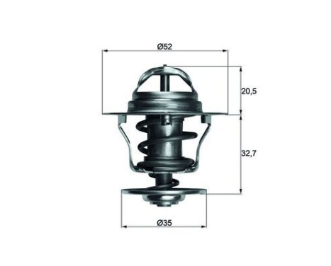 Thermostat, coolant