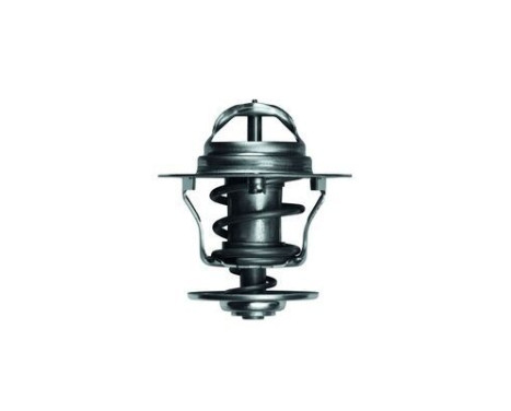 Thermostat, coolant, Image 2