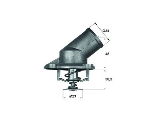 Thermostat, coolant