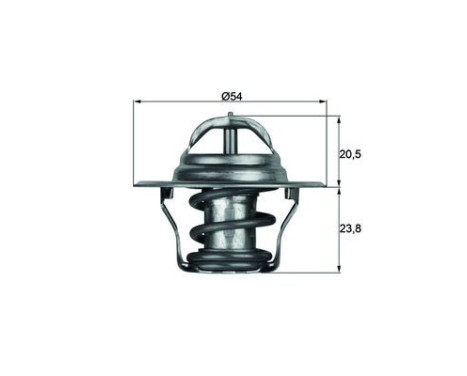 Thermostat, coolant