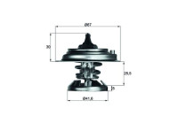 Thermostat, coolant