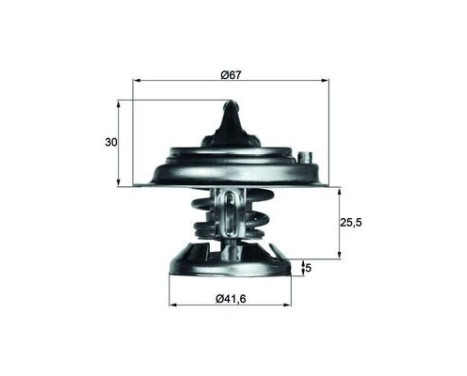 Thermostat, coolant