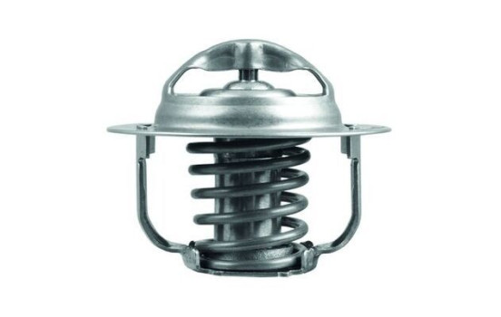Thermostat, coolant, Image 2