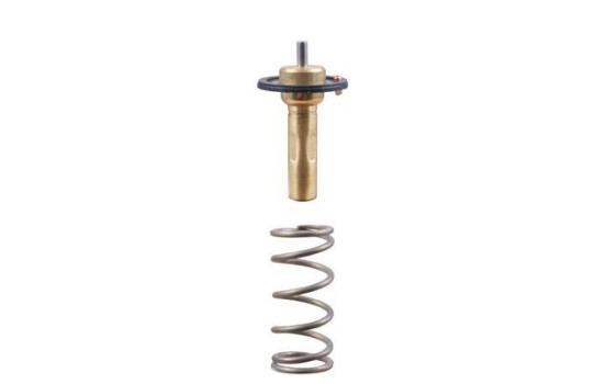 Thermostat, coolant, Image 2