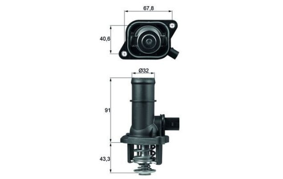 Thermostat, coolant