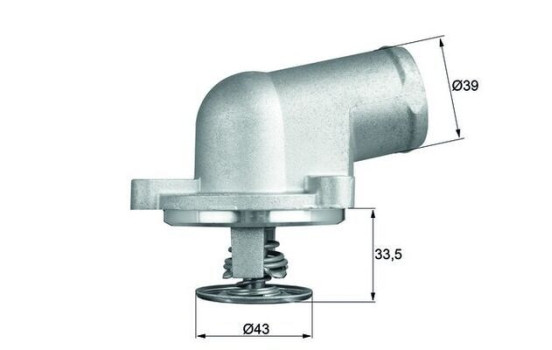 Thermostat, coolant