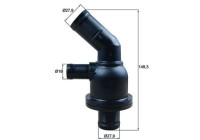 Thermostat, coolant
