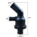 Thermostat, coolant